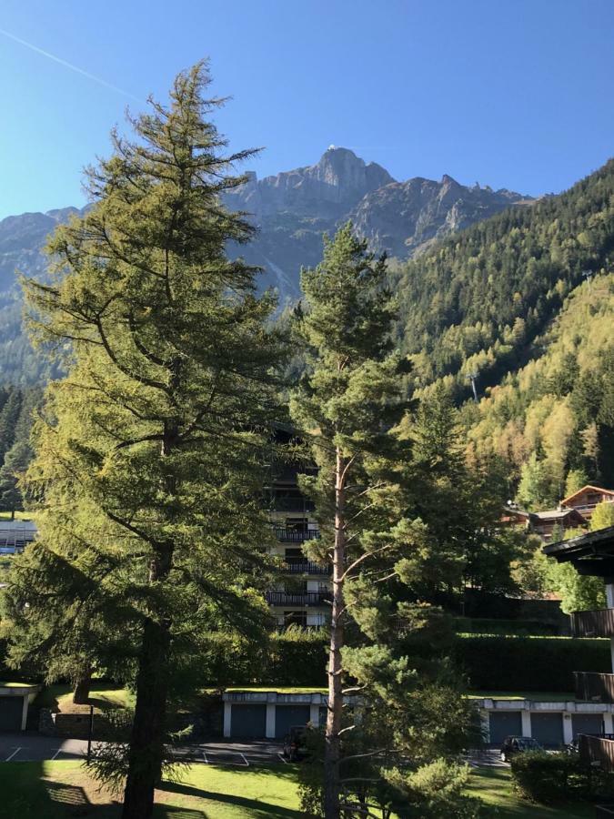 Apartamento Brévent - Melèze Chamonix Mont Blanc Exterior foto